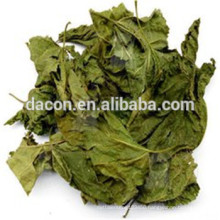 dried Mulberry leaves